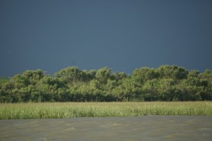 998A7422-10B0-4489-BBEF-E67377437990